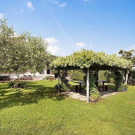 Mansarda Albero Verde Con Piscina Casanova Lerrone エクステリア 写真